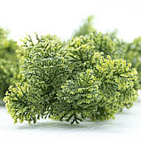 Штучна гілка Engard "Houttuynia Cordata", 65 cм (AV-04), фото 6