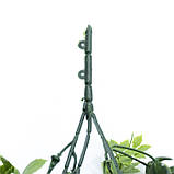 Штучна гілка Engard "Eucalyptus", 65 cм (AV-03), фото 5