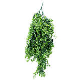 Штучна гілка Engard "Eucalyptus", 65 cм (AV-03), фото 4