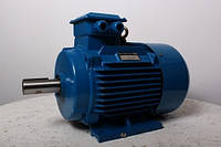 Электродвигатель АИР200L8 - 22 кВт 750 об/мин. Асинхронный Трехфазный.