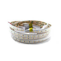 Led лента термостойкая Rishang 2835-120-IP67-WW-10-24 RD30C0TC-B 2700K CRI90 24V 8,6W/m 658lm/m 13909