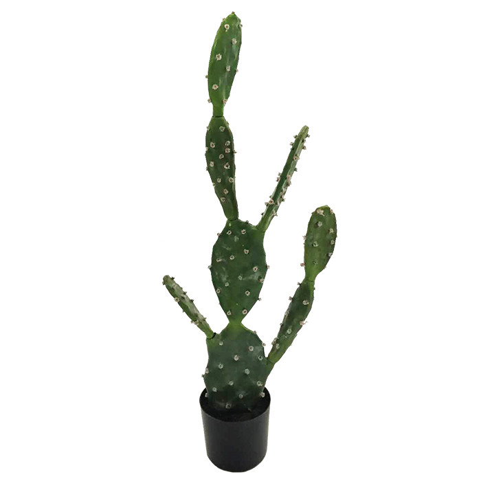 Штучна рослина Engard Cactus, 75 см (TW-41)