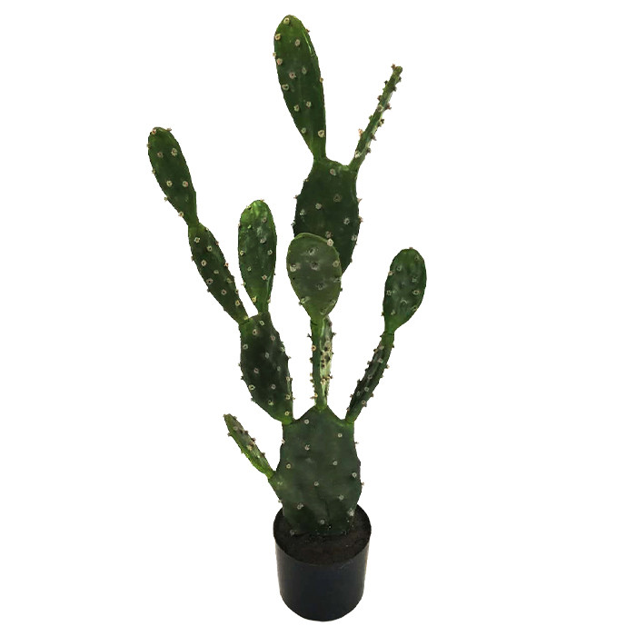 Штучна рослина Engard Cactus, 95 см (TW-42), фото 1