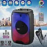 Потужна акустична система RX-8150 10W 3000mAh з RGB підсвіткою дротовим мікрофоном і пультом ДУ, фото 6