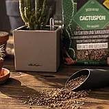 Субстрат Lechuza CactusPON 6 л для кактусів і сукулентів (Лечуза, Німеччина), фото 6