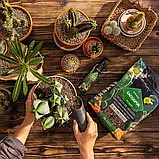 Субстрат Lechuza CactusPON 6 л для кактусів і сукулентів (Лечуза, Німеччина), фото 7