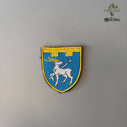 Шеврон "123 окрема бригада ТрО" (Миколаївська область, на липучці), фото 3