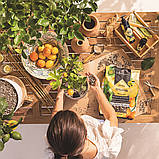 Субстрат Lechuza CitrusPON 25 л для цитрусових (Лечуза, Німеччина), фото 6