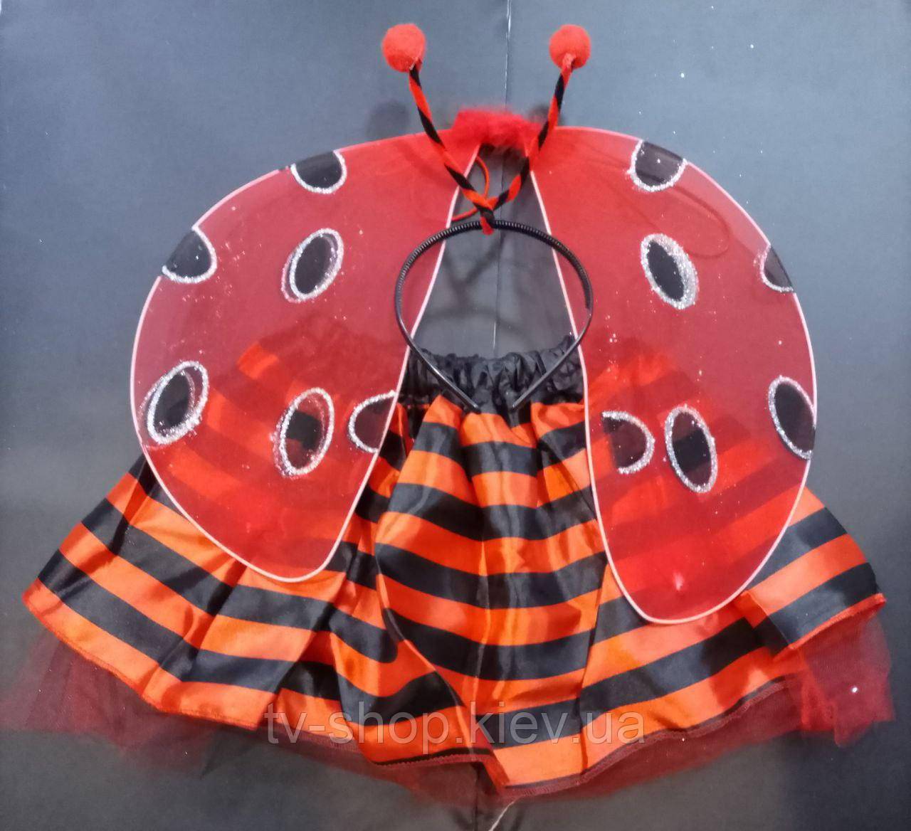 Крила зі спідницею Сонечко, фото 1