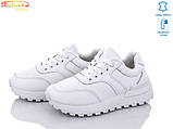 Кросівки шкіряні жіночі AESD, фото 2