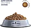 CLUB 4 PAWS Premium сухий корм для активних собак 14 кг, фото 6