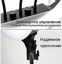 Лампа Кільцева RL-18 RGB + Штатив 2.1м + BT Кнопка, Набір для Блогера Тік-Токера Ютубера Стримера, фото 5