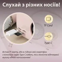 Міні-караоке, портативна колонка з мікрофоном, Караоке-система для дому з мікрофоном, Караоке-станція, Караоке-система для дому з, фото 5
