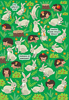 Книга Знайди та покажи Таємничий ліс, фото 2