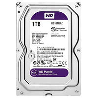 Жесткий диск Western Digital Purple 1TB 64MB 5400rpm WD10PURZ 3.5 SATA III p