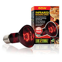 Інфрачервона лампа розжарювання Exo Terra Infrared Basking Spot 50 W, E27 (для обігріву) h
