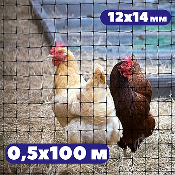 Пластикова вольєрна сітка 0,5х100 м 12х14мм для огорожі свійських птахів універсальна для захисту від кротів