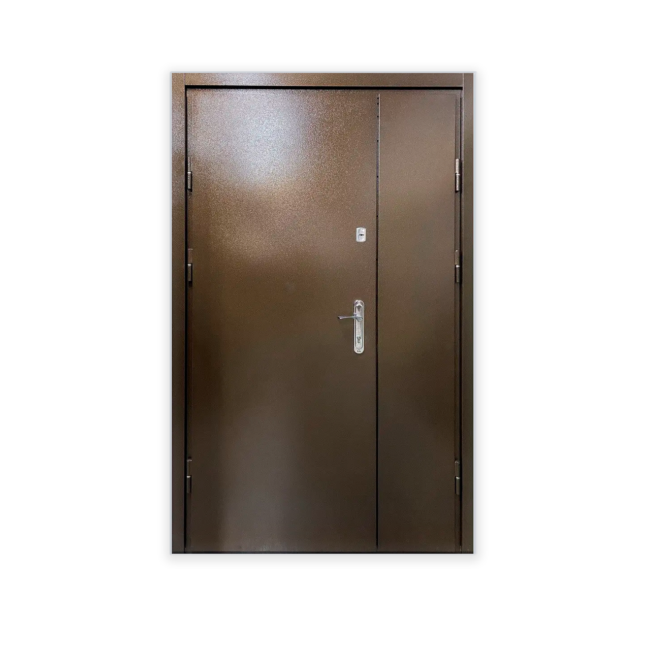 Металеві технічні двері з акустичною ізоляцією для магазину, складу, гаража й ангару.