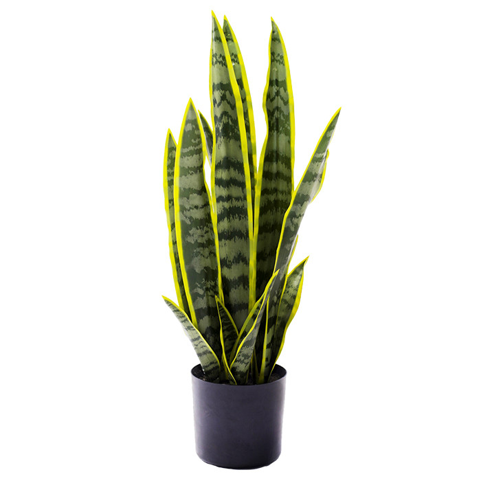 Штучна рослина Engard Sansevieria, 57 см (TW-43)