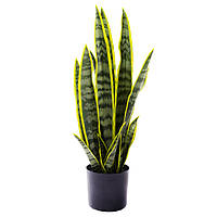 Искуственное растение Engard Sansevieria 57 см (TW-43)