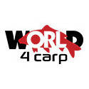 ІГЛИ НІЖНИЦІ КРАЩИ ШАРОЛЕПКИ СОВКИ WORLD4CARP