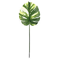 Искуственный лист Engard  Monstera Alba, 71 см (TW-53)