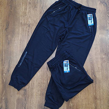 Чоловічі спортивні штани з манжетами "KENALIN" Art: 1402-5 6XL (56-58) Синій