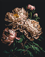 Картины по номерам белые пионы Картина Раскраска по номерам цветы 40х50 Роспись по номерам Origami 2003
