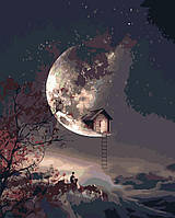 Картина космос по номерам Картины рисовать по номерам Домик на луне 40х50 Живопись на холсте Origami 3105