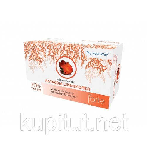 Antrodia Camphorata 70% пептид-полісахаридний комплекс із грибом Антродія, фото 1