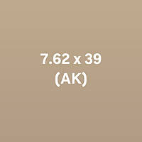 7.62 x 39 (AK)