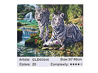 Алмазная мозаика 30*40 Белые тигры карт упаковка (холст на раме), 60646