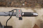 Акумуляторна тачка MAST EWD300B, фото 10