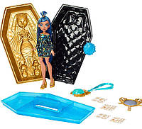 Кукла Монстер Хай Клео Де Нил Monster High Doll & Accessories Cleo De Nile Golden Glam Case Beauty