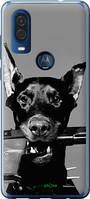 Чехол на Motorola One Vision Доберман "2745u-1782-18101"