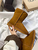 UGG Classic Short Beige