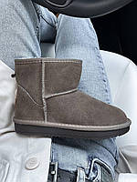 Ugg Classic Mini Brown v3