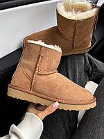 UGG Short ZIP Brown