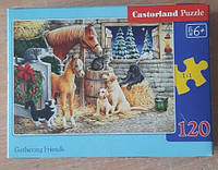 УЦІНКА! CASTORLAND PUZZLE 120 MIDI. GATHERING FRIENDS / ДРУЗІ