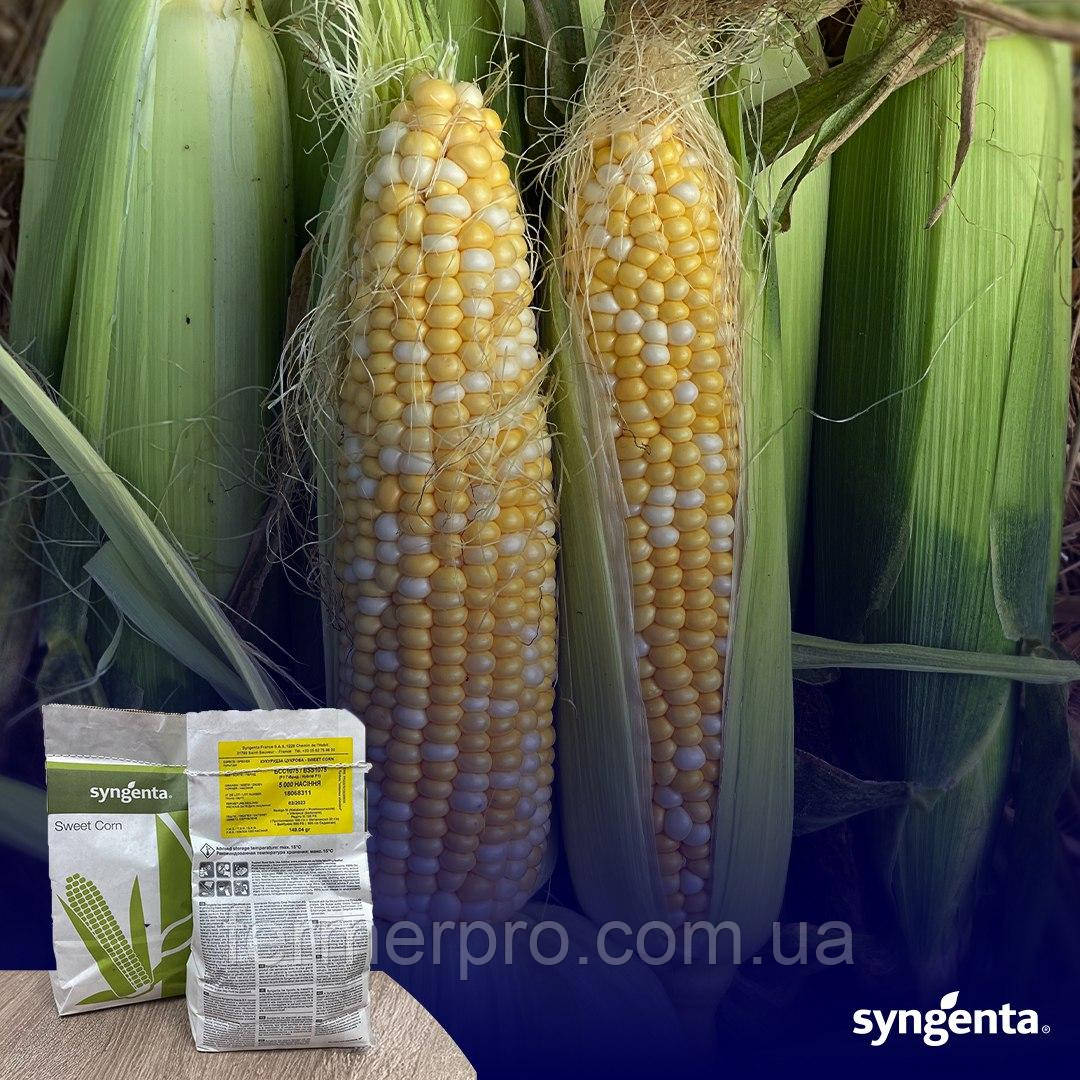Насіння кукурудзи цукрової БСС 1075 F1, BSS 1075, (біколор),5 000 насінин, Syngenta
