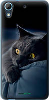 Чехол на HTC Desire 628 Dual Sim Дымчатый кот "825u-949-18101"