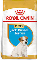 Сухий корм для щенят Royal Canin Jack Russel Puppy 1.5 кг