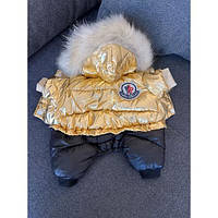 Брендовый зимний комбинезон для собак MONCLER , золотой