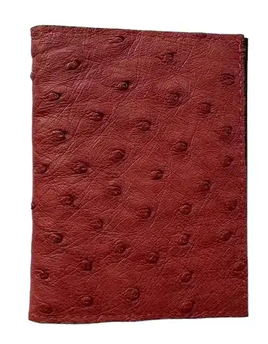 Візитниця зі шкіри страуса Ekzotic Leather Червона (och02)