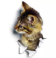 Наліпка інтер'єрна з 3D ефектом КІТ 02