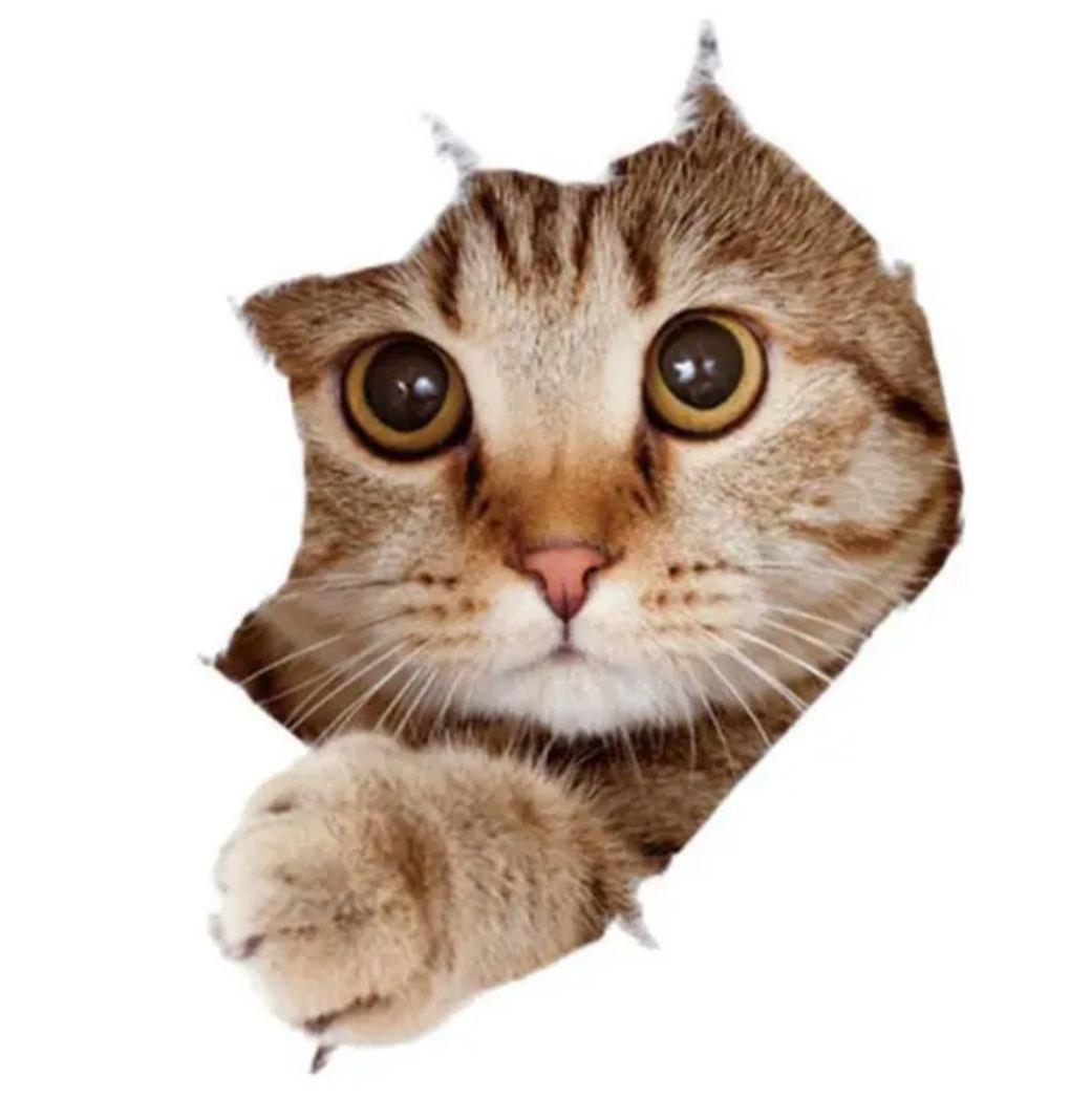 Наліпка інтер'єрна з 3D ефектом КІТ 04