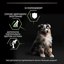 Сухий корм для цуценят Pro Plan Medium Puppy Healthy Start для середніх порід з куркою 12 кг, фото 6
