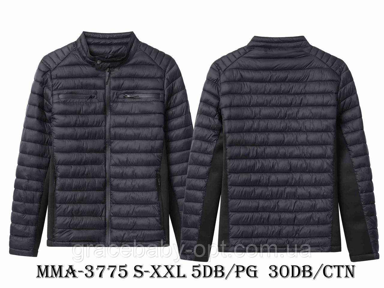 Куртка чоловіча оптом, Glo-story, S-2XL рр, № MMA-3775