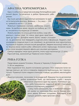 Книга "Енциклопедія для допитливих. Перлини природи України" | Талант, фото 3
