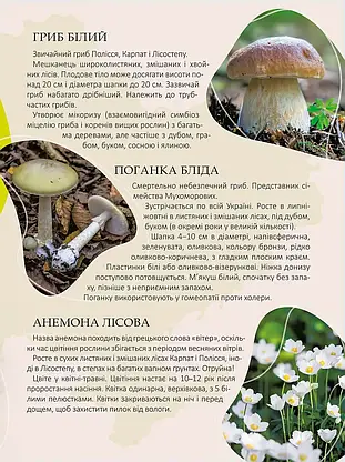Книга "Енциклопедія для допитливих. Перлини природи України" | Талант, фото 4